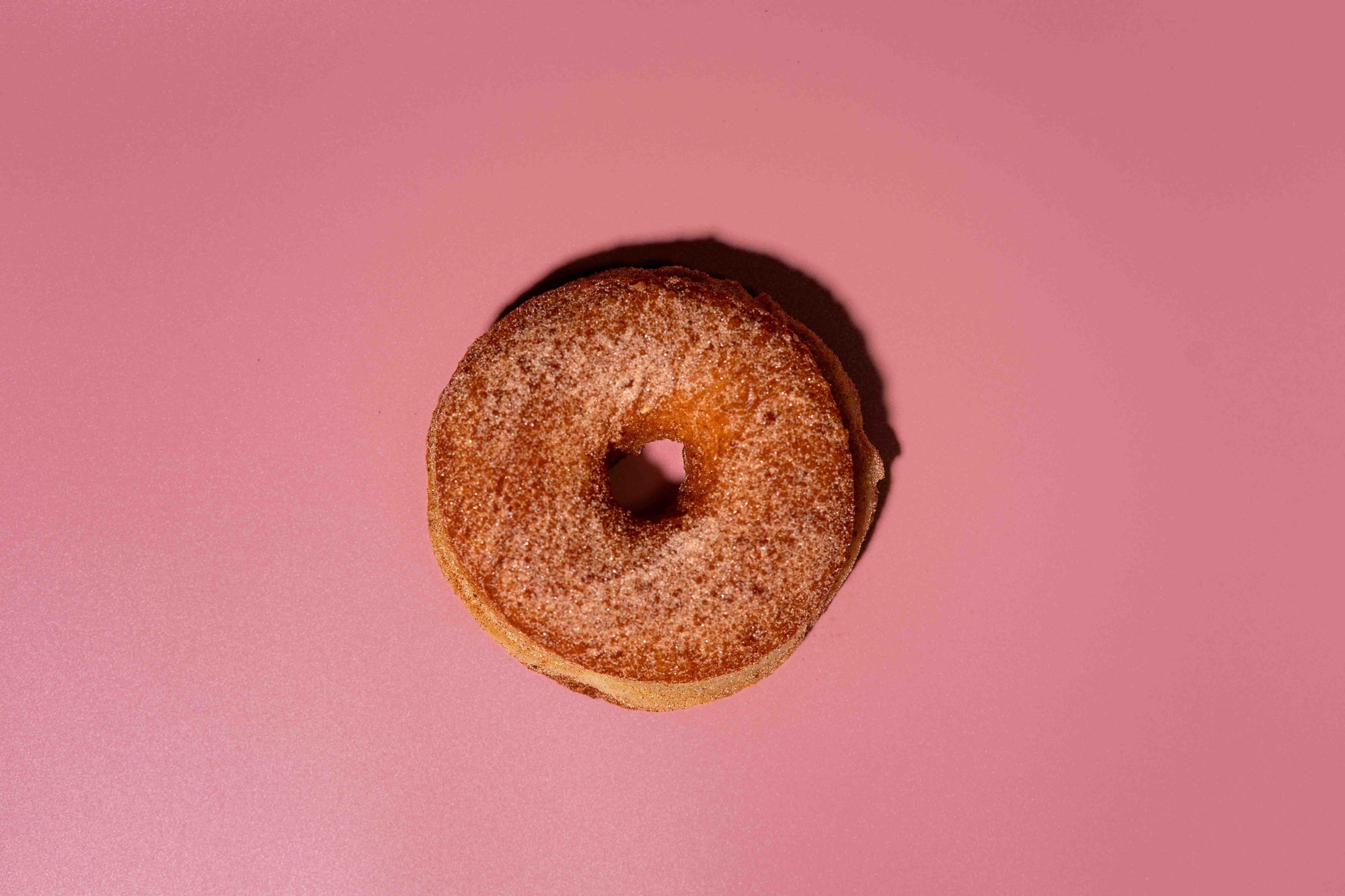 Cinnamon Sugar Donut (Vegan)