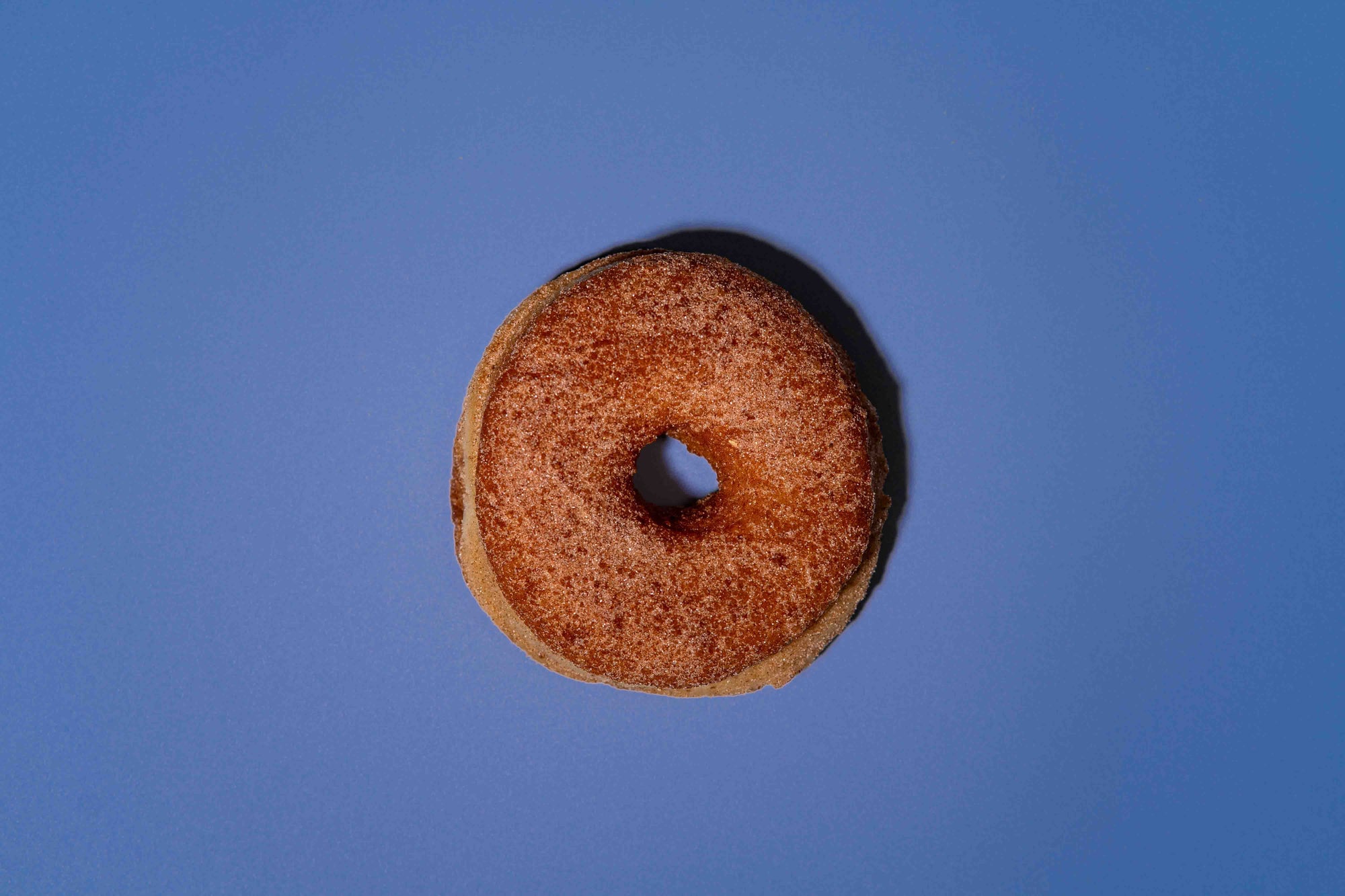 Cinnamon Sugar Donut (Vegan)