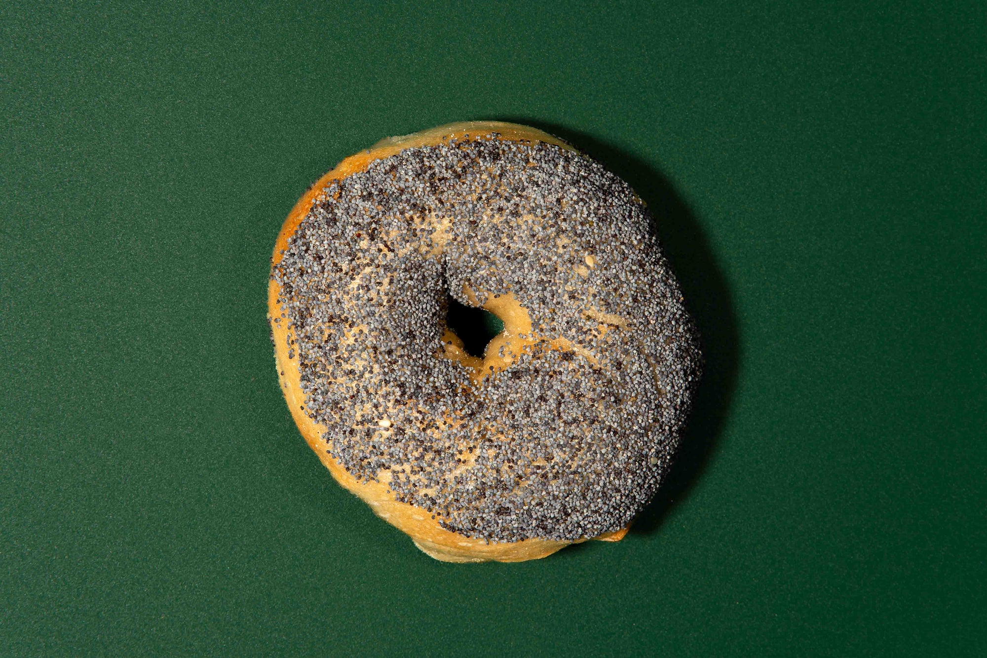 Poppy Bagel