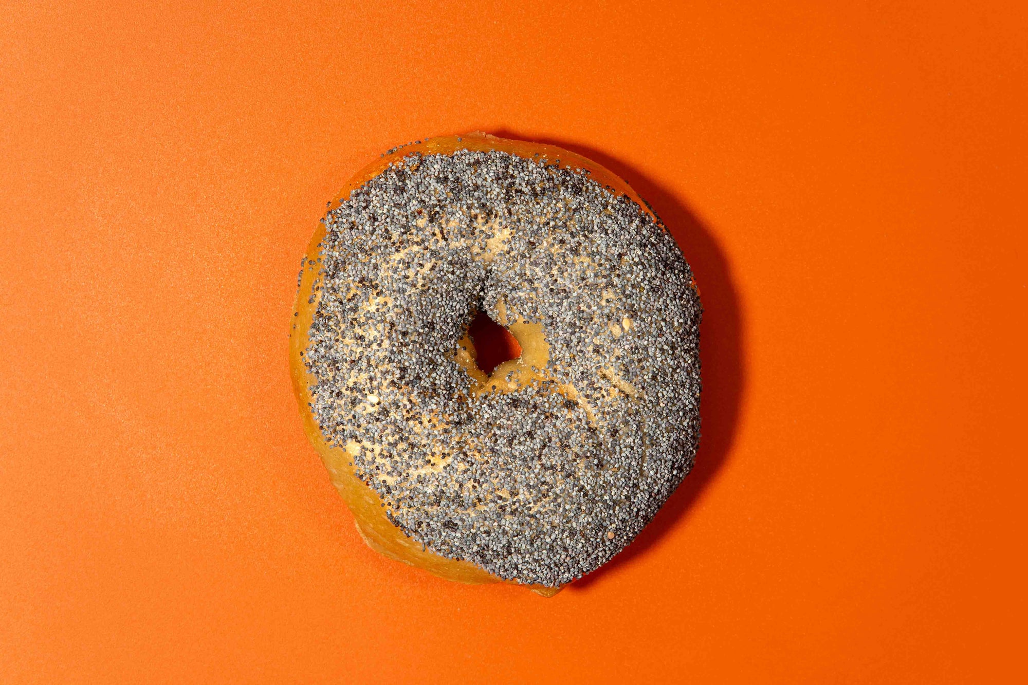 Poppy Bagel