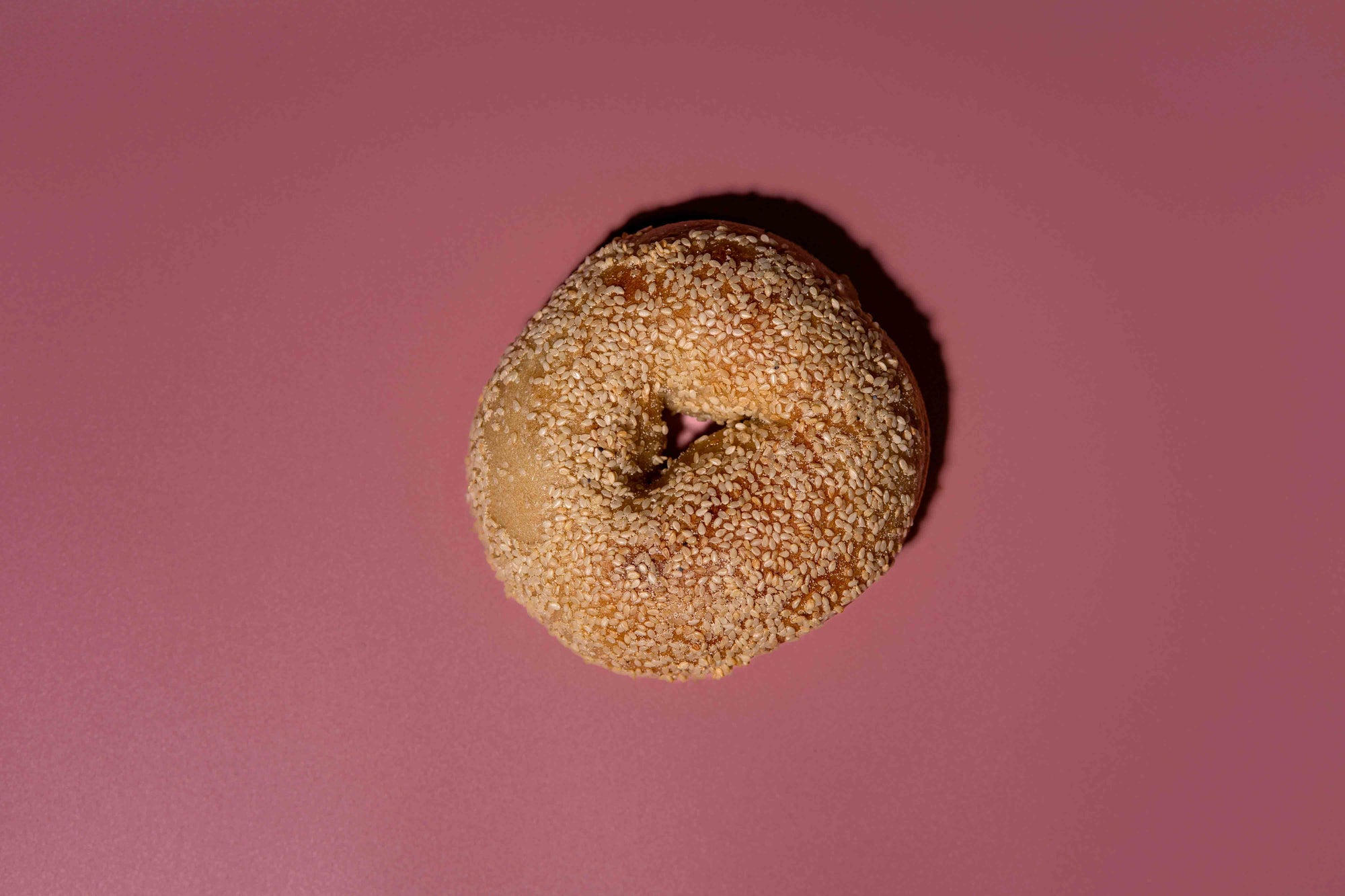 Sesame Bagel