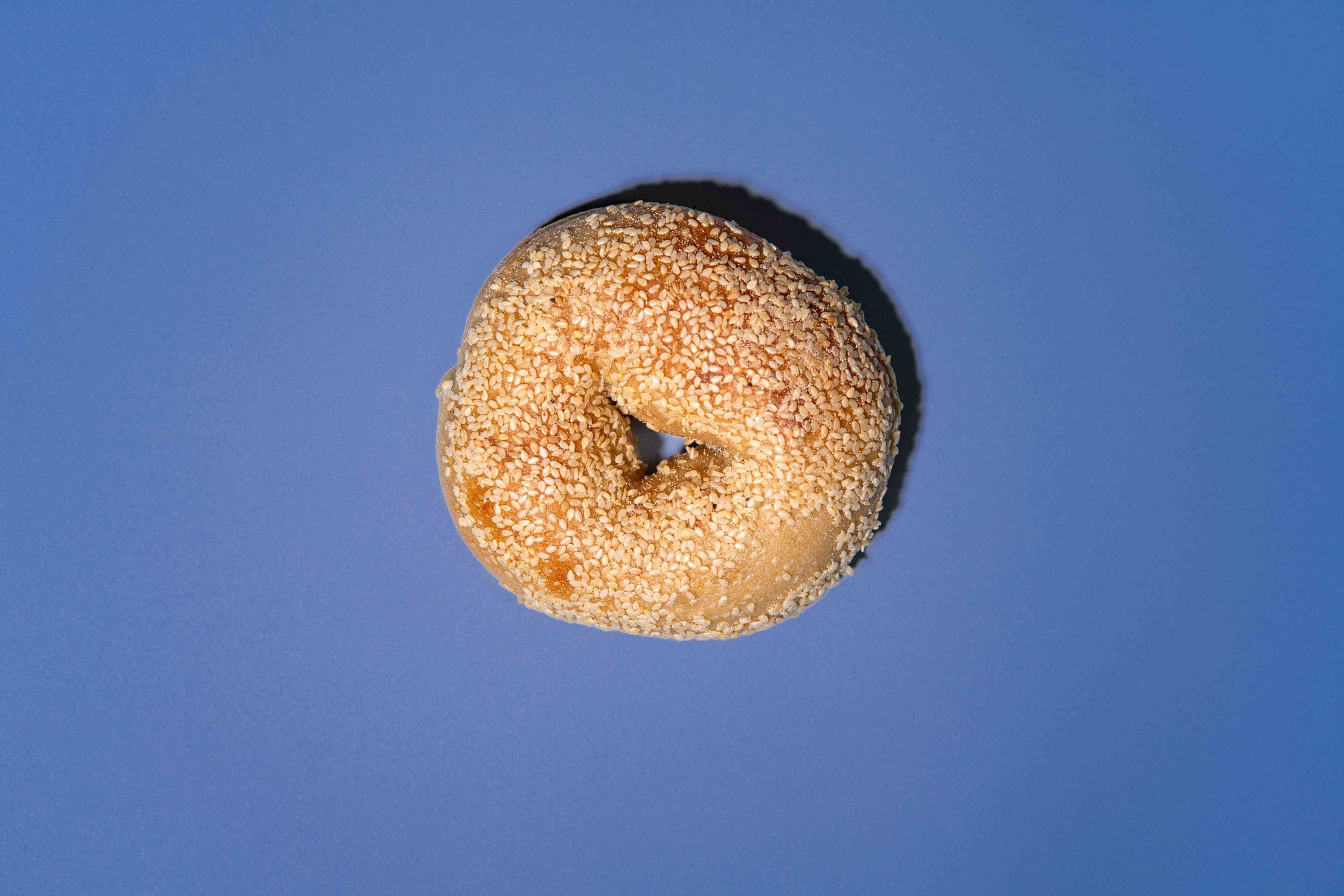 Sesame Bagel